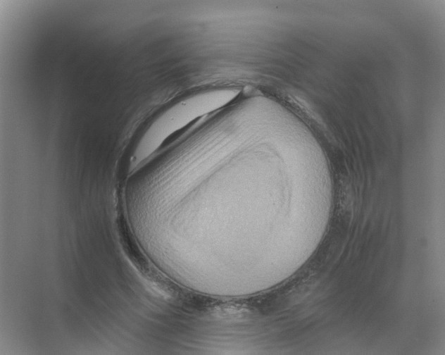 X0000070170586200606231923