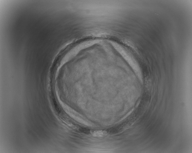 X0000070170587200606231923