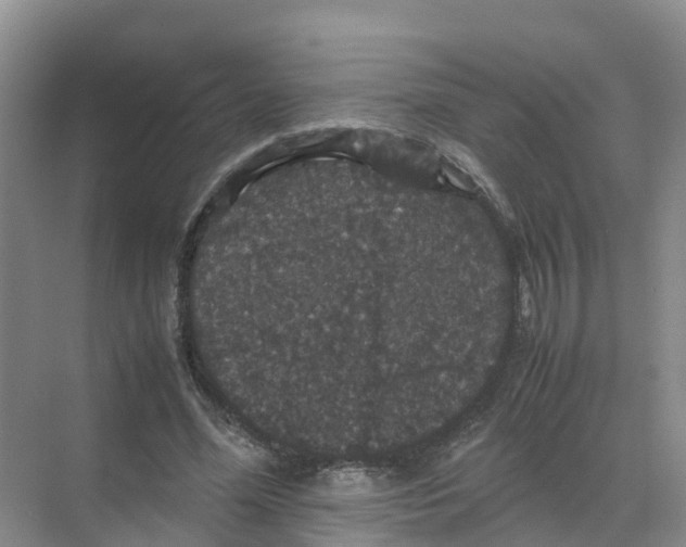 X0000070170588200606231923