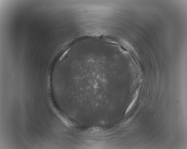 X0000070170589200606231923