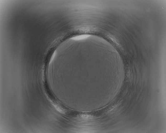 X0000070170590200606231923