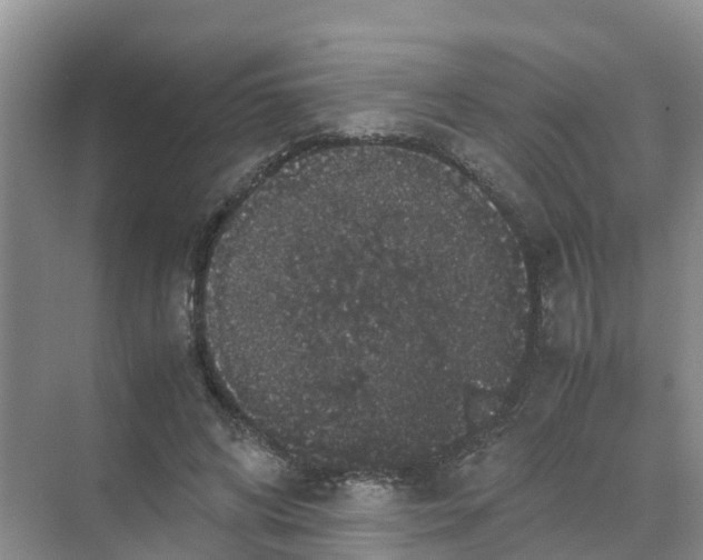 X0000070170592200606231923