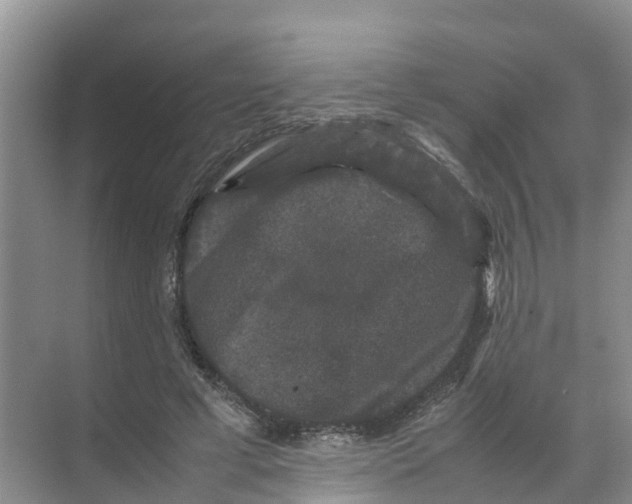 X0000070170593200606231923