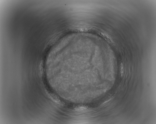 X0000070170594200606231923