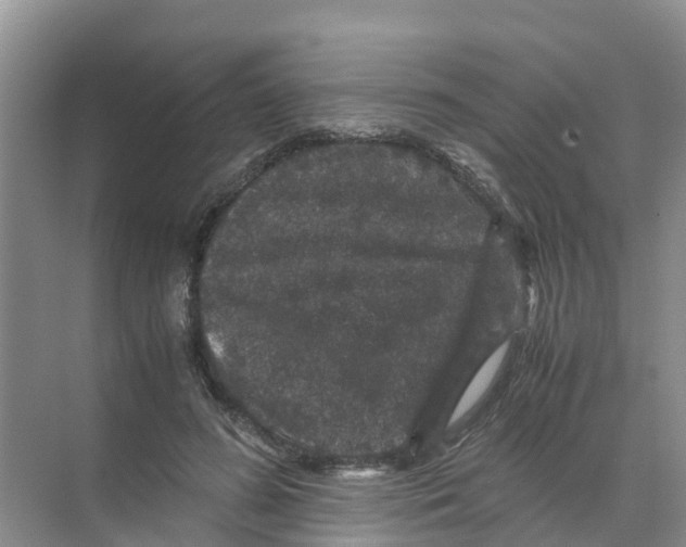 X0000070170596200606231923