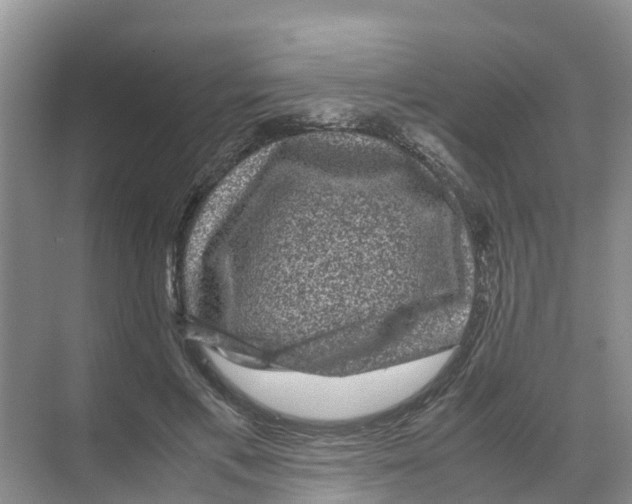 X0000070170597200606231923