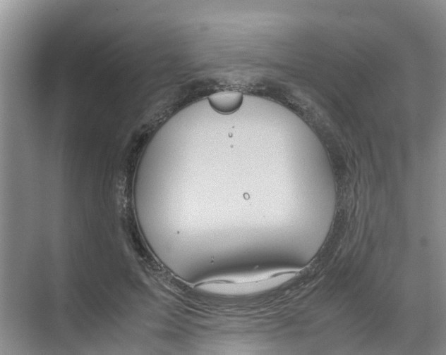 X0000070170599200606231923