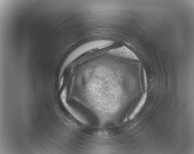 X0000070170600200606231923