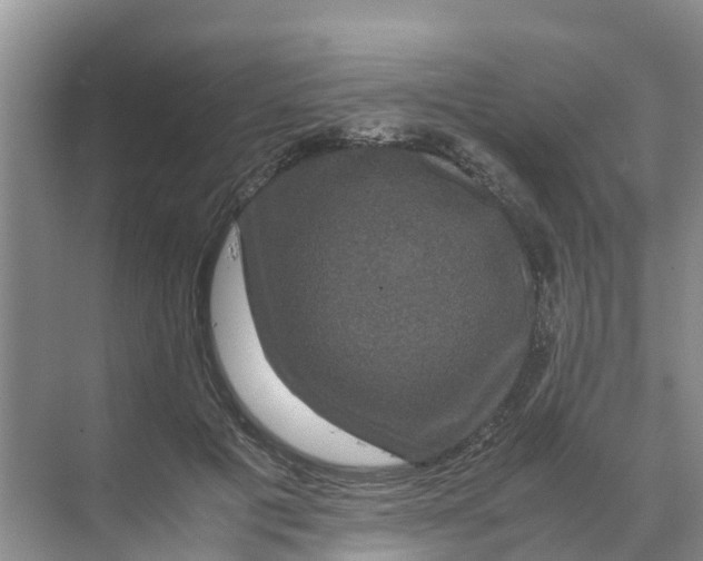 X0000070170601200606231923