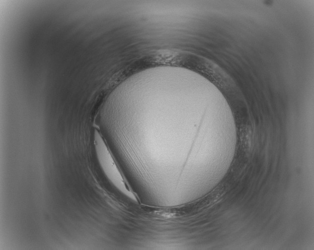 X0000070170602200606231923