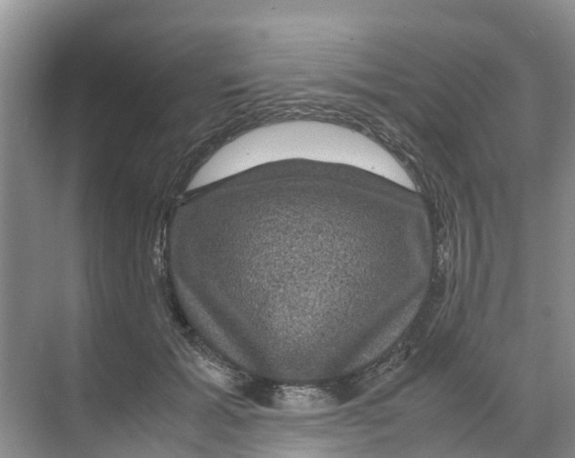 X0000070170605200606231923