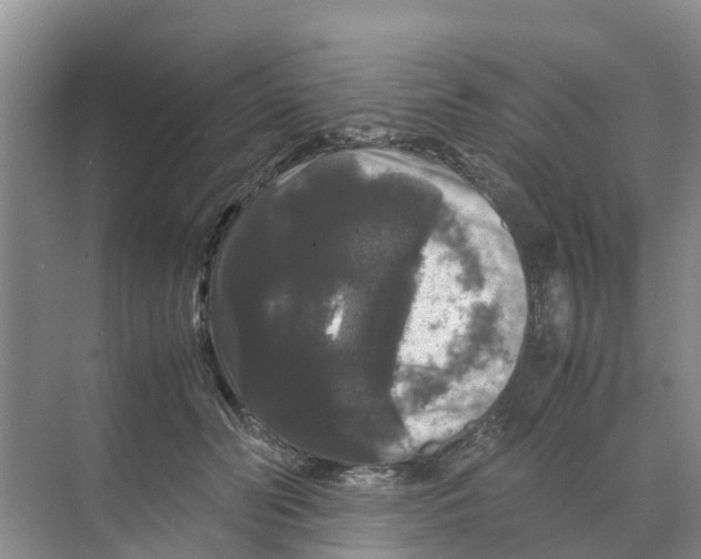 X0000070170606200606231923