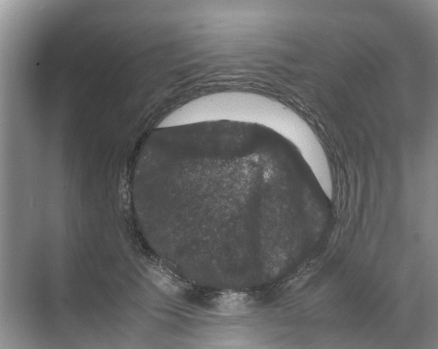 X0000070170609200606231923