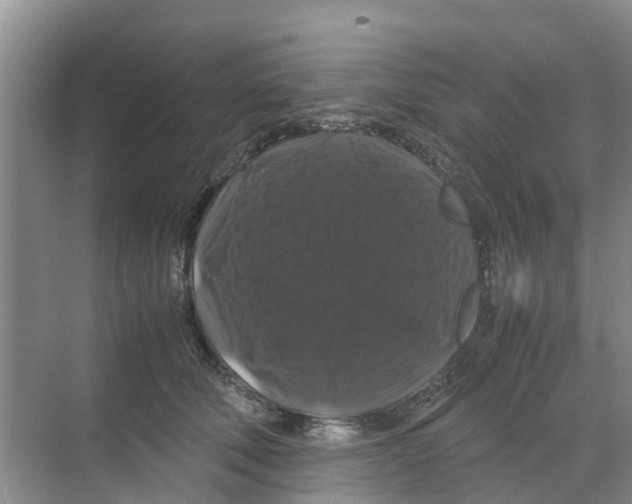 X0000070170610200606231923