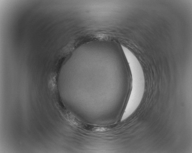 X0000070170611200606231923