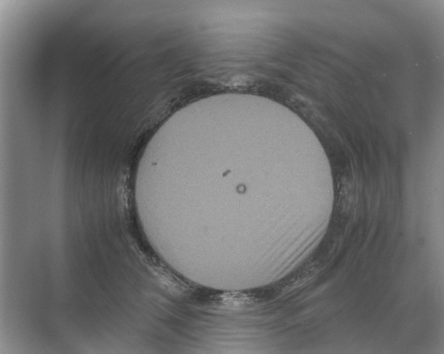 X0000070170612200606231923