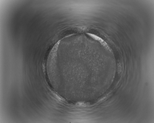 X0000070170613200606231922