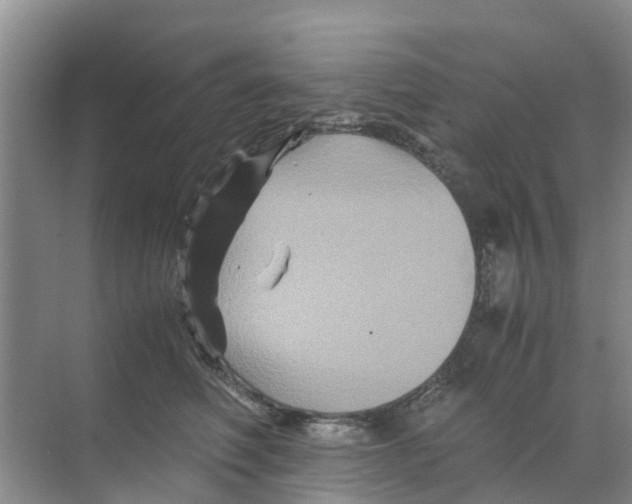 X0000070170614200606231922