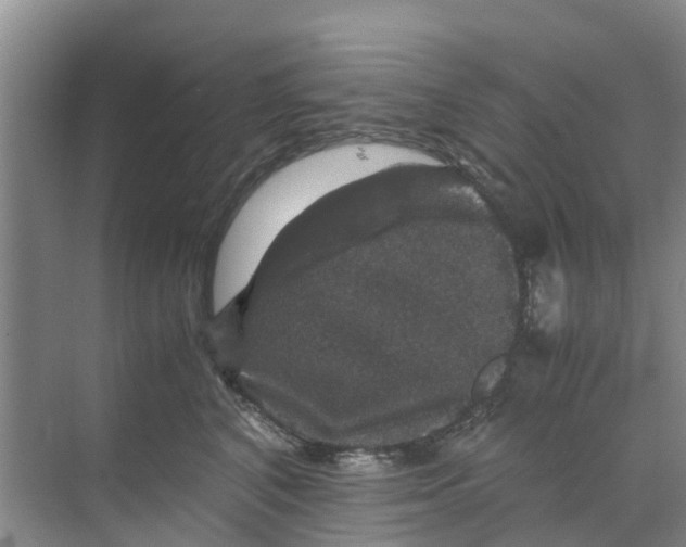 X0000070170616200606231922