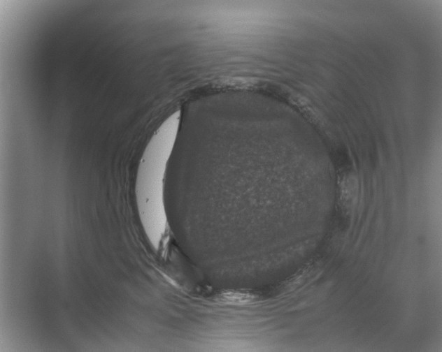 X0000070170617200606231922