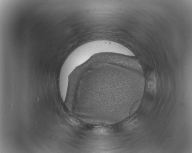 X0000070170620200606231922