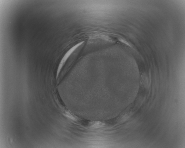 X0000070170621200606231922