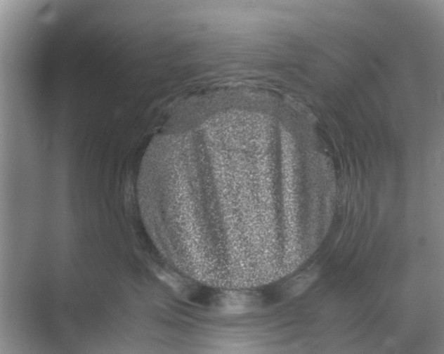 X0000070170623200606231922