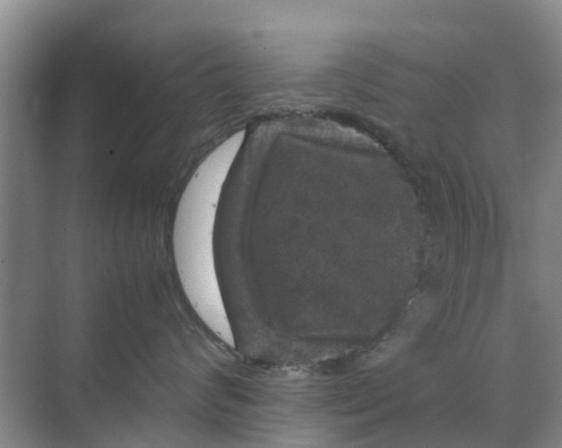 X0000070170624200606231922