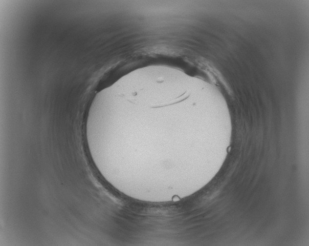 X0000070170625200606231921