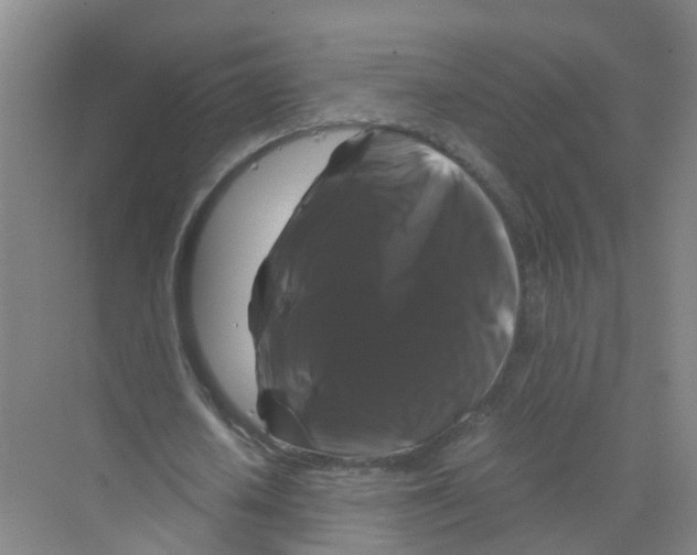 X0000070170626200606231922