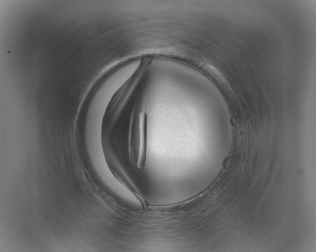 X0000070170628200606231922