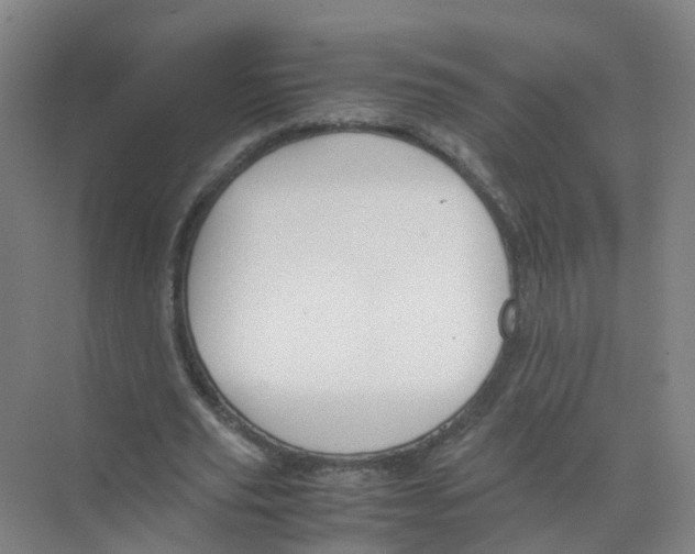 X0000070170629200606231922