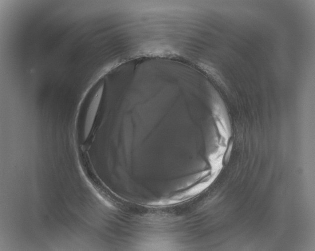 X0000070170630200606231922