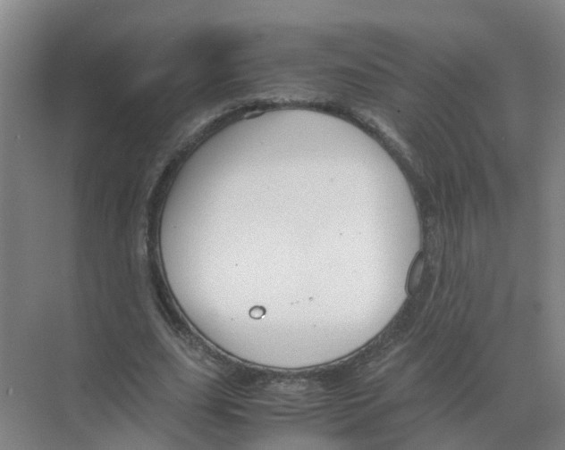 X0000070170631200606231922