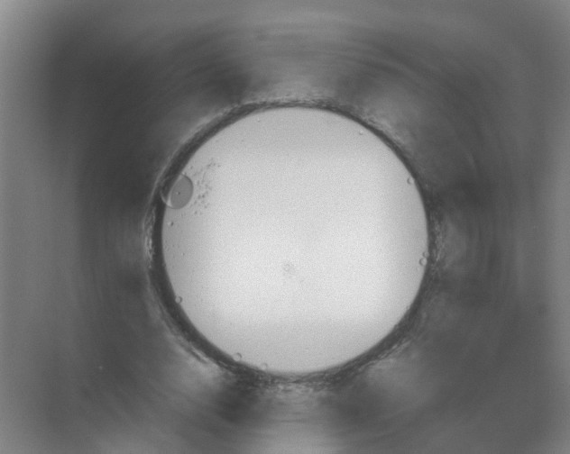 X0000070170632200606231922