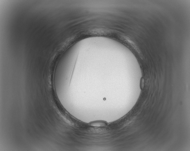 X0000070170633200606231922