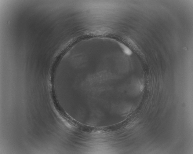 X0000070170634200606231922