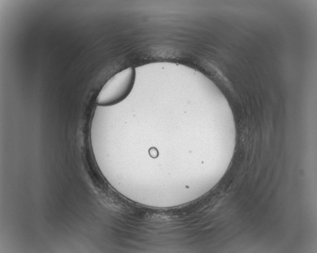 X0000070170635200606231922