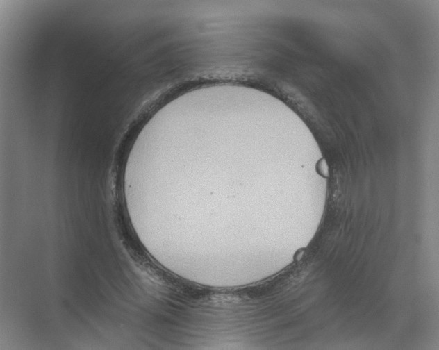 X0000070170636200606231922