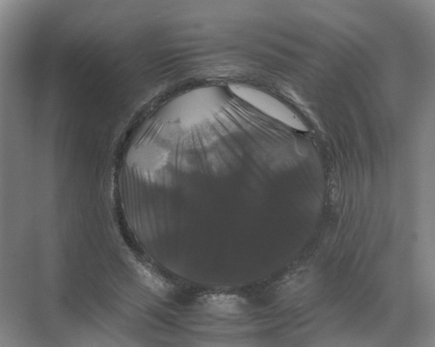 X0000070170637200606231922