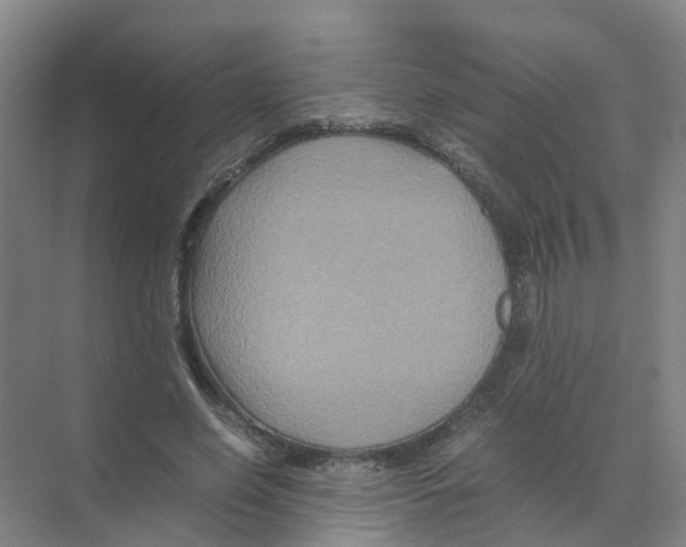 X0000070170638200606231922