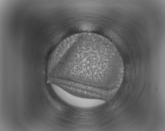 X0000070170639200606231922