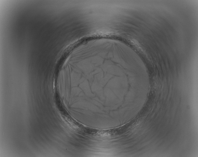 X0000070170640200606231922