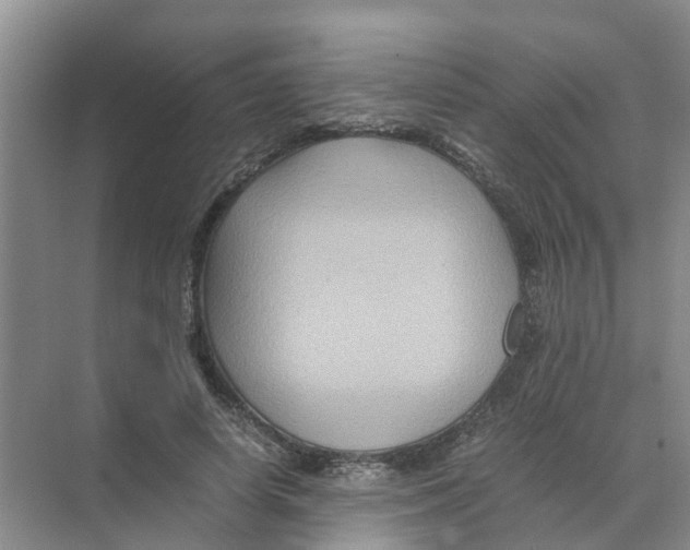 X0000070170642200606231922