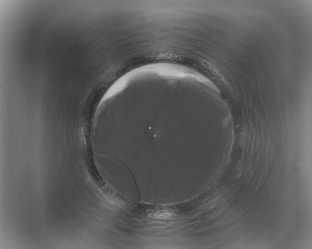 X0000070170643200606231922