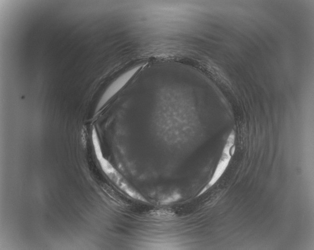 X0000070170644200606231922