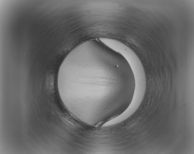 X0000070170646200606231922