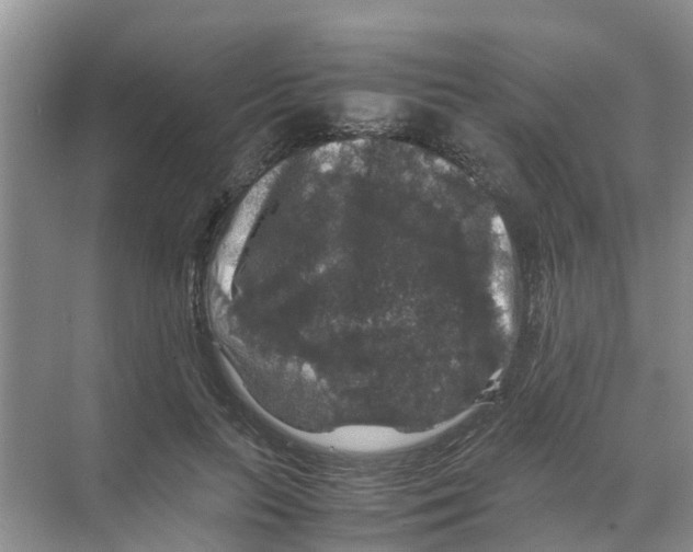 X0000070170647200606231922