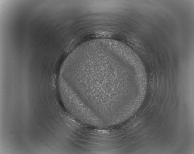 X0000070170649200606231922