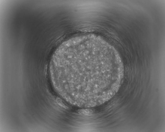 X0000070170652200606231922